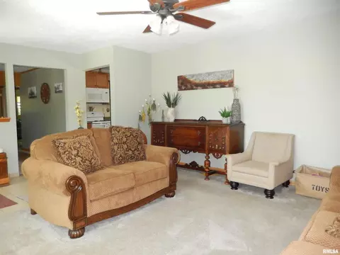 365 Neely Rd, Anna, IL 62906 photo 30