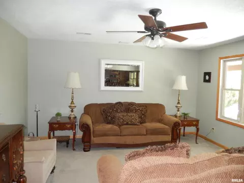 365 Neely Rd, Anna, IL 62906 photo 29