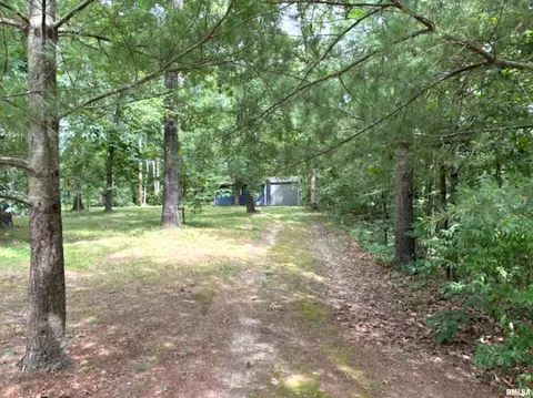 tbd Red Lake Ln, Iuka, IL 62849