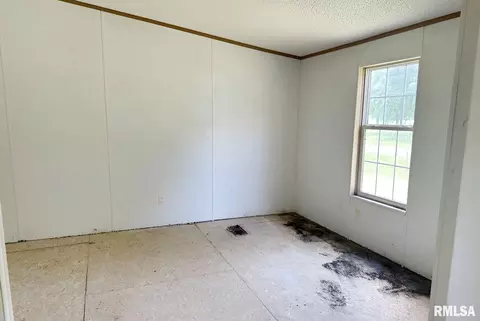 13686 E Bakersville Rd, Mount Vernon, IL 62864 photo 22