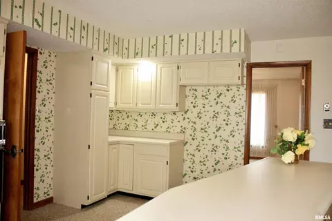 1813 Testa Dr, Marion, IL 62959 photo 3