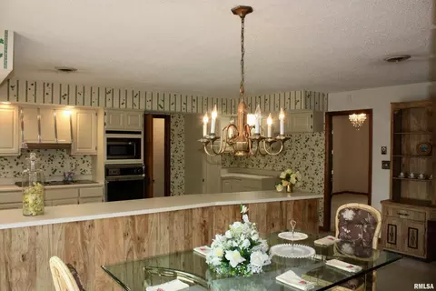 1813 Testa Dr, Marion, IL 62959 photo 4