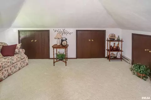 16982 E Payton Rd, Opdyke, IL 62872 photo 15
