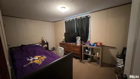 426 Moore St, Benton, IL 62812 photo 12