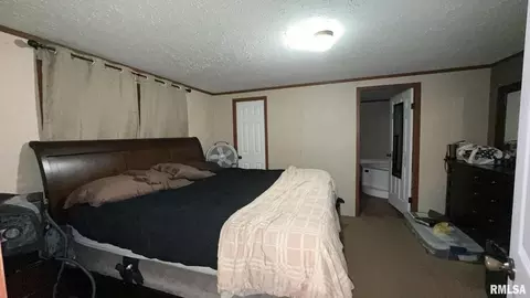 426 Moore St, Benton, IL 62812 photo 10