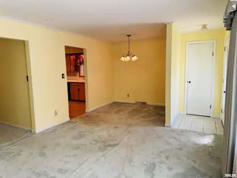 206 Plum St, Anna, IL 62906 photo 10