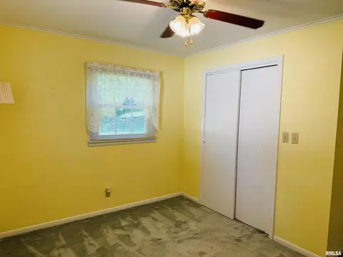 206 Plum St, Anna, IL 62906 photo 21