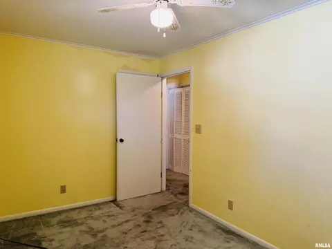 206 Plum St, Anna, IL 62906 photo 20
