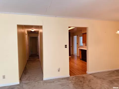 206 Plum St, Anna, IL 62906 photo 18