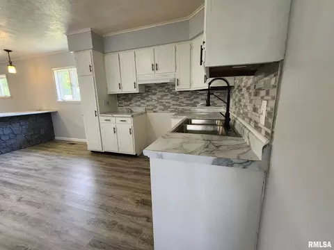 709 S Thomas St, Christopher, IL 62822 photo 10