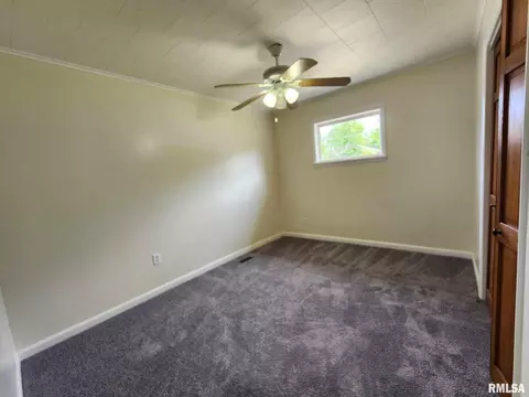 709 S Thomas St, Christopher, IL 62822 photo 17