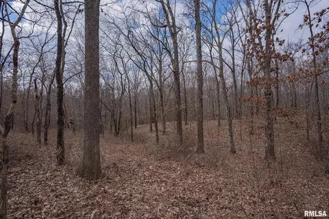 000 E Beal, Dix, IL 62830 photo 25