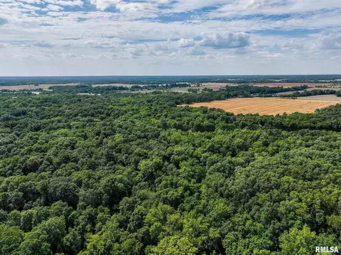 000 E Beal, Dix, IL 62830 photo 39