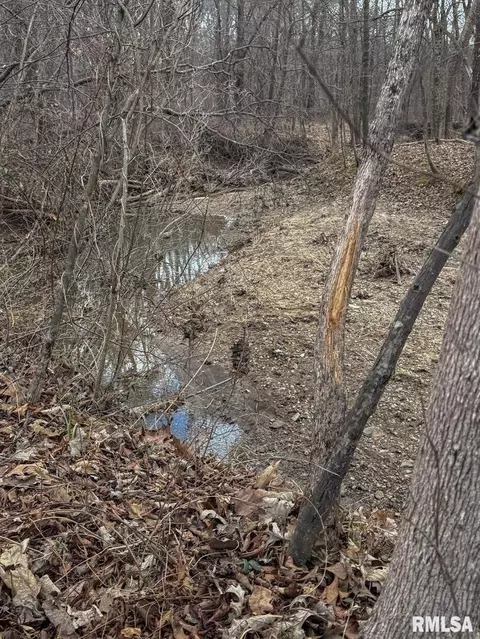 000 E Beal, Dix, IL 62830 photo 31