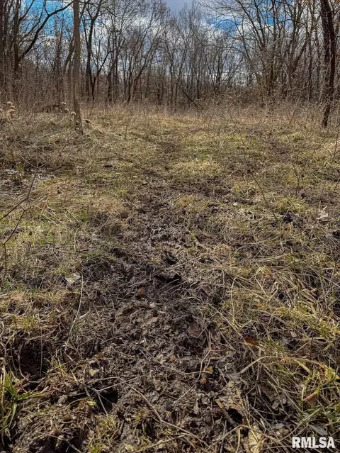 000 E Beal, Dix, IL 62830 photo 30