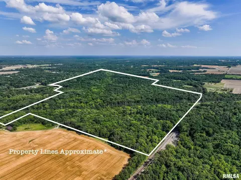 000 E Beal, Dix, IL 62830 photo 37