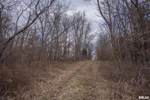 000 E Beal, Dix, IL 62830 photo 21