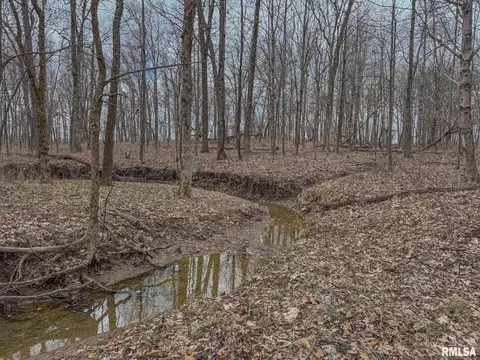 000 E Beal, Dix, IL 62830 photo 34