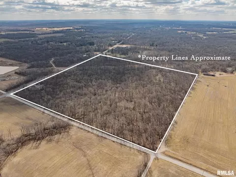000 E Beal, Dix, IL 62830 photo 16