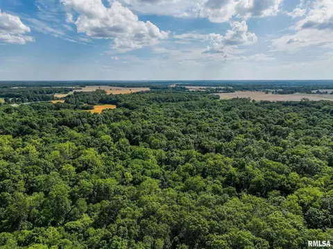 000 E Beal, Dix, IL 62830 photo 45
