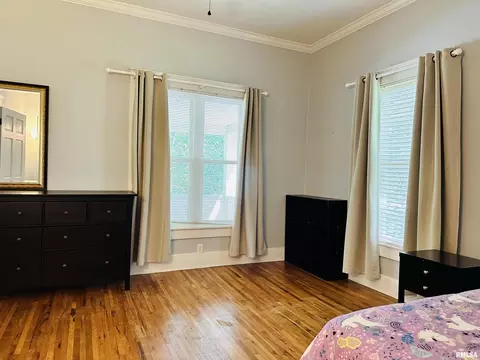 307 E Vienna St, Anna, IL 62906 photo 26