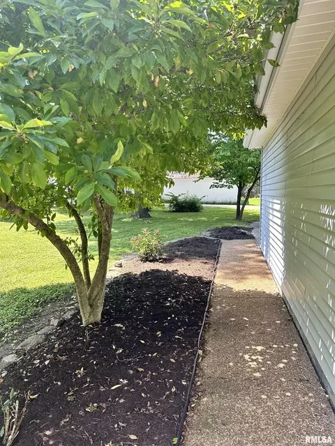 307 E Vienna St, Anna, IL 62906 photo 9