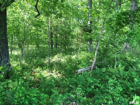 000 Fish Farm Rd, Golconda, IL 62938