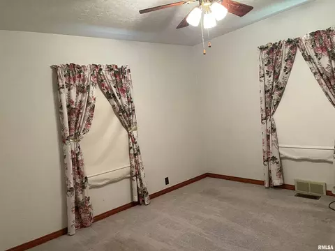 303 E Davis St, Ava, IL 62907 photo 15
