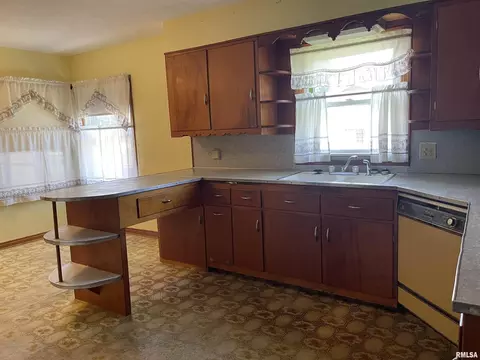303 E Davis St, Ava, IL 62907 photo 9