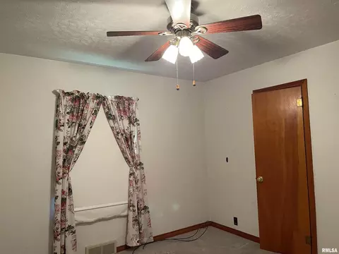 303 E Davis St, Ava, IL 62907 photo 5