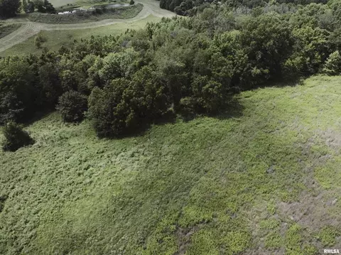 3200 Wing Hill Rd, Cobden, IL 62920 photo 9