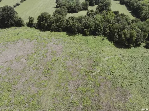 3200 Wing Hill Rd, Cobden, IL 62920 photo 5