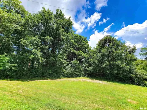 000 Hanging Rock Rd, Flora, IL 62839