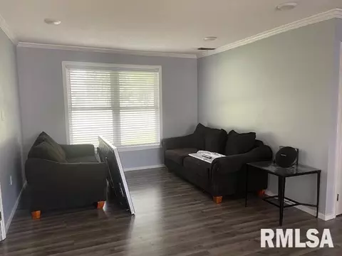 33 Douglas Dr, Herrin, IL 62948 photo 7