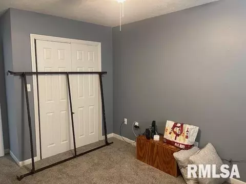 33 Douglas Dr, Herrin, IL 62948 photo 24