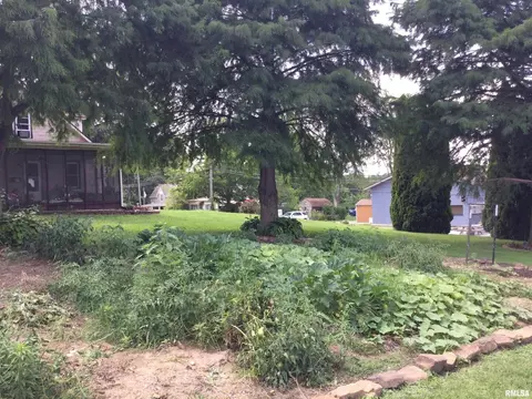 108 Oak St, Cobden, IL 62920 photo 28
