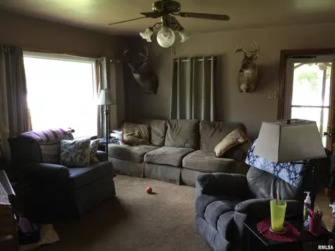 108 Oak St, Cobden, IL 62920 photo 5