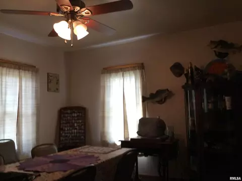 108 Oak St, Cobden, IL 62920 photo 14