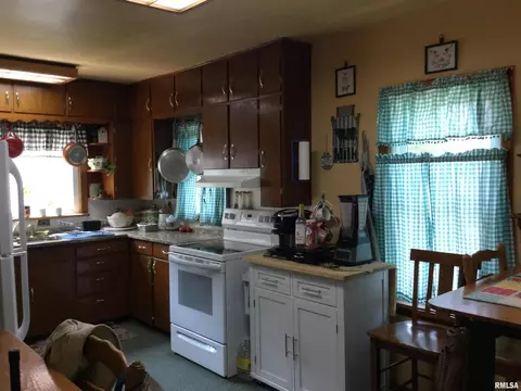 108 Oak St, Cobden, IL 62920 photo 6
