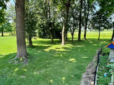 2376 County Road 940 N County Rd, Flora, IL 62839 photo 16