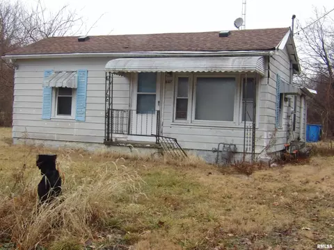 807 E 2nd St, Buckner, IL 62819