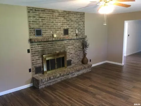 415 Springfield Ave, Anna, IL 62906 photo 5