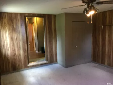 415 Springfield Ave, Anna, IL 62906 photo 20