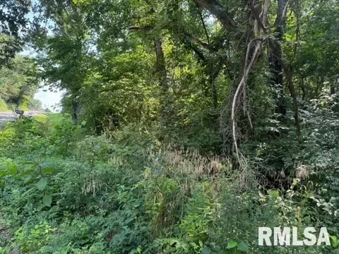 0000 Sesser Lake Rd, Sesser, IL 62884