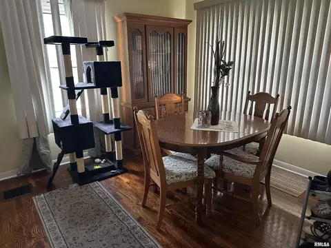 207 Charles St, Benton, IL 62812 photo 11