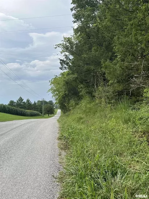 1040 Blueberry Hill Rd, Cobden, IL 62920
