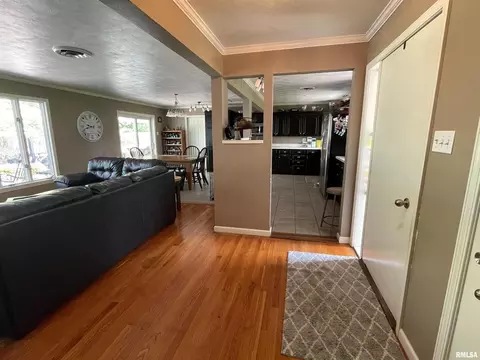 18 Deer Path Dr, Salem, IL 62881 photo 26