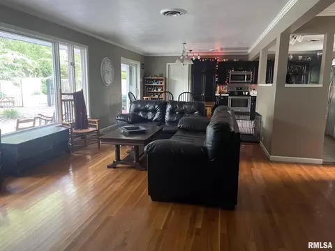 18 Deer Path Dr, Salem, IL 62881 photo 9