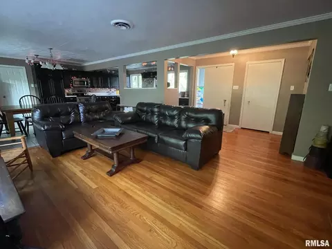 18 Deer Path Dr, Salem, IL 62881 photo 6
