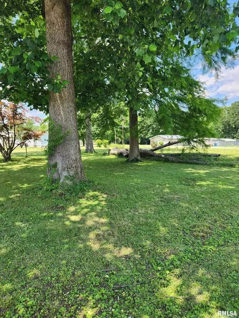 211 N Chestnut St, Sesser, IL 62884